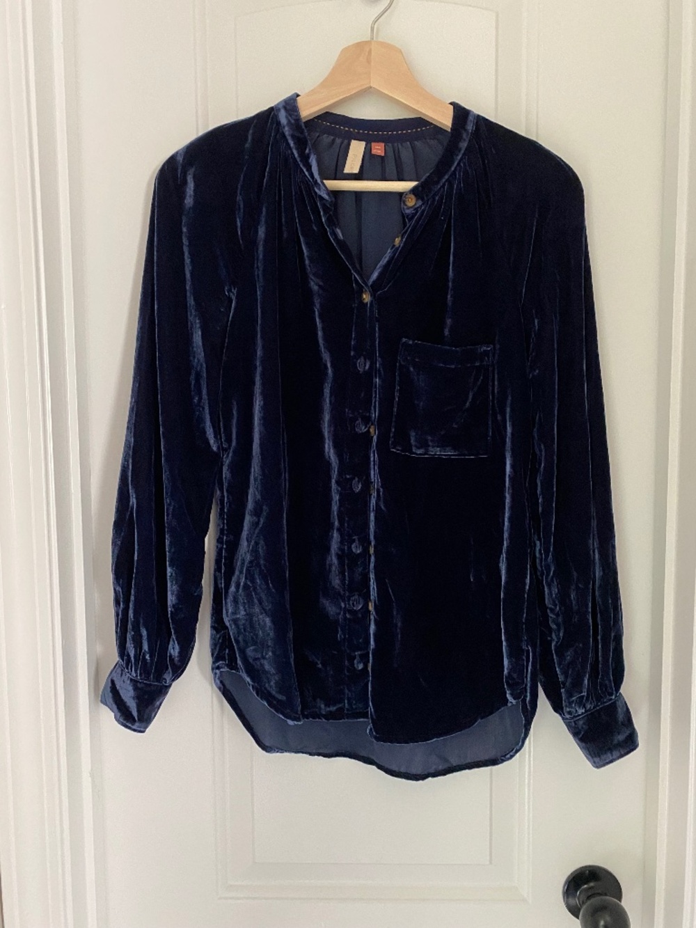 Anthropologie Pilcro Velvet Blue Button Down Shirt
